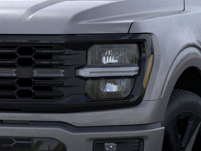 2026 Ford F-150 STX LOBO