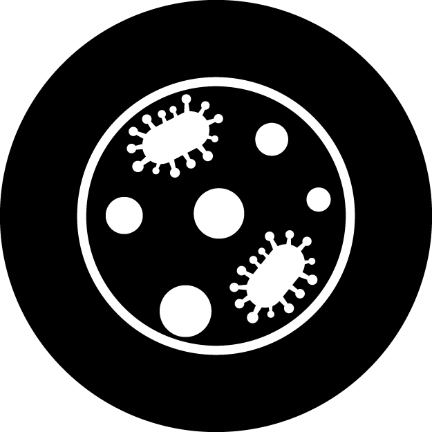 Huntersville Ford | SURFACE SANITIZER & ANTIMICROBIAL