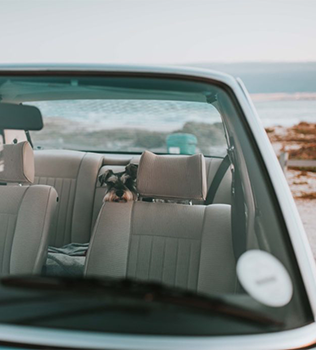 Triton Protect Select